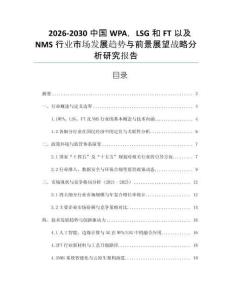 2026-2030中國WPA，LSG和FT以及NMS行業(yè)市場發(fā)展趨勢與前景展望戰(zhàn)略分析研究報(bào)告