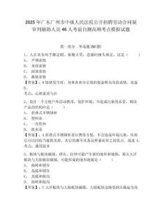 2025年廣東廣州市中級人民法院公開招聘勞動合同制審判輔助人員46人考前自測高頻考點模擬試題及答案詳