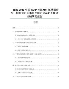 2026-2030中國PARP（聚ADP-核糖聚合酶）抑制劑行業(yè)市場發(fā)展趨勢與前景展望戰(zhàn)略研究報告