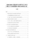 2026-2030中國非常規(guī)天然氣行業(yè)市場發(fā)展趨勢與前景展望戰(zhàn)略分析研究報告