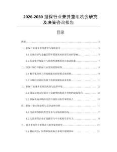 2026-2030擔(dān)保行業(yè)兼并重組機(jī)會研究及決策咨詢報告