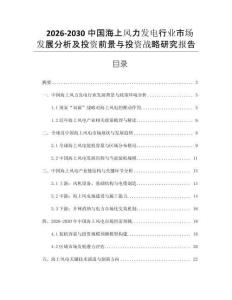 2026-2030中國海上風(fēng)力發(fā)電行業(yè)市場發(fā)展分析及投資前景與投資戰(zhàn)略研究報告