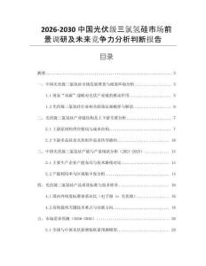 2026-2030中國光伏級三氯氫硅市場前景調(diào)研及未來競爭力分析判斷報告