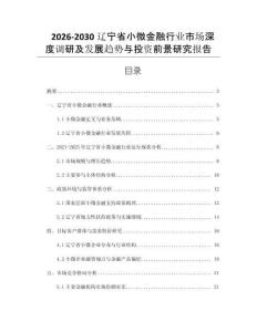 2026-2030遼寧省小微金融行業(yè)市場深度調(diào)研及發(fā)展趨勢與投資前景研究報告