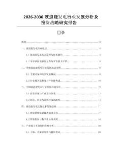 2026-2030波浪能發(fā)電行業(yè)發(fā)展分析及投資戰(zhàn)略研究報告
