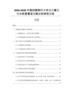 2026-2030中國刮擦刷行業(yè)市場發(fā)展趨勢與前景展望戰(zhàn)略分析研究報告