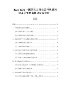 2026-2030中國灰漿泵行業(yè)運行狀況預測及競爭格局展望研究報告