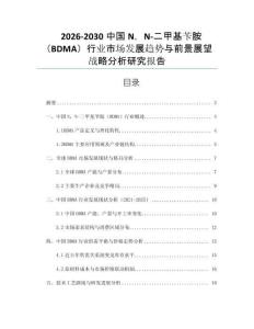 2026-2030中國N，N-二甲基芐胺（BDMA）行業市場發展趨勢與前景展望戰略分析研究報告