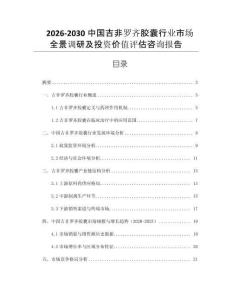 2026-2030中國吉非羅齊膠囊行業(yè)市場全景調(diào)研及投資價值評估咨詢報告