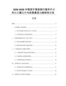 2026-2030中國胡子美容旅行套件行業市場發展趨勢與前景展望戰略研究報告