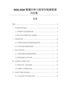 2026-2030管理軟件項(xiàng)目可行性研究咨詢報(bào)告