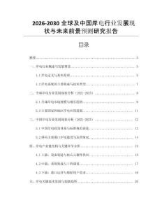 2026-2030全球及中國(guó)岸電行業(yè)發(fā)展現(xiàn)狀與未來(lái)前景預(yù)測(cè)研究報(bào)告