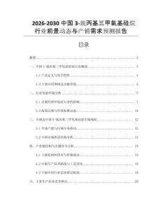 2026-2030中國3-巰丙基三甲氧基硅烷行業前景動態與產銷需求預測報告