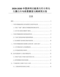 2026-2030中國(guó)并網(wǎng)儲(chǔ)能系統(tǒng)行業(yè)市場(chǎng)發(fā)展趨勢(shì)與前景展望戰(zhàn)略研究報(bào)告