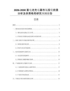 2026-2030蓄電池充電器市場投資前景分析及供需格局研究預(yù)測報(bào)告
