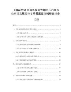 2026-2030中國各向同性和擠壓石墨行業市場發展趨勢與前景展望戰略研究報告