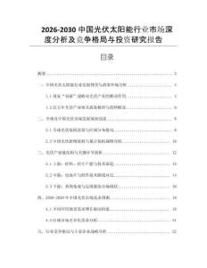 2026-2030中國光伏太陽能行業(yè)市場深度分析及競爭格局與投資研究報(bào)告