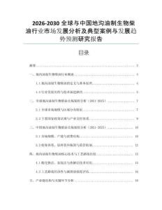 2026-2030全球與中國地溝油制生物柴油行業(yè)市場發(fā)展分析及典型案例與發(fā)展趨勢預(yù)測研究報(bào)告