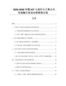 2026-2030中國HJT電池行業(yè)競爭態(tài)勢與投融資狀況分析研究報(bào)告