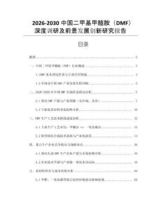 2026-2030中國二甲基甲醯胺（DMF）深度調研及前景發展創新研究報告