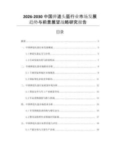 2026-2030中國彈道頭盔行業市場發展趨勢與前景展望戰略研究報告