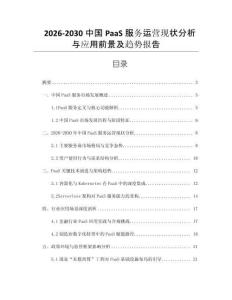 2026-2030中國PaaS服務運營現狀分析與應用前景及趨勢報告