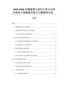 2026-2030中國磁滯電機行業市場現狀分析及競爭格局與投資發展研究報告