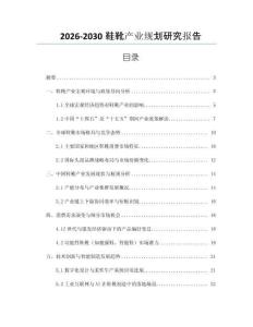 2026-2030鞋靴產(chǎn)業(yè)規(guī)劃研究報(bào)告