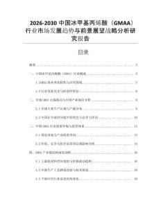 2026-2030中國冰甲基丙烯酸（GMAA）行業市場發展趨勢與前景展望戰略分析研究報告
