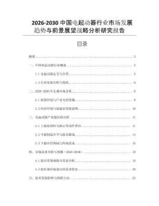2026-2030中國電起動器行業市場發展趨勢與前景展望戰略分析研究報告