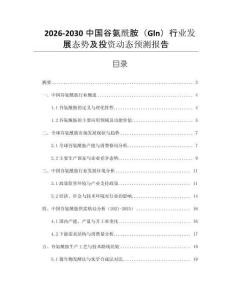 2026-2030中國谷氨酰胺（Gln）行業發展態勢及投資動態預測報告