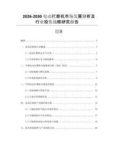2026-2030电动打磨机市场发展分析及行业投资战略研究报告