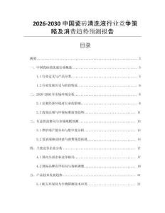 2026-2030中國瓷磚清洗液行業競爭策略及消費趨勢預測報告