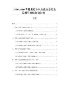 2026-2030青霉素行業(yè)風(fēng)險(xiǎn)投資態(tài)勢(shì)及投融資策略指引報(bào)告