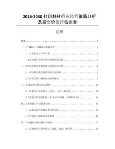 2026-2030打印耗材行業(yè)經(jīng)營策略分析及投資價值評估報告