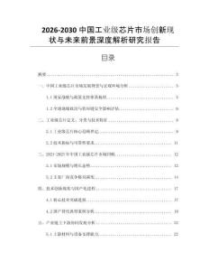 2026-2030中國(guó)工業(yè)級(jí)芯片市場(chǎng)創(chuàng)新現(xiàn)狀與未來(lái)前景深度解析研究報(bào)告