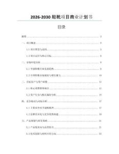 2026-2030鞋靴項(xiàng)目商業(yè)計(jì)劃書(shū)