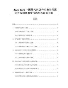 2026-2030中國除氣閥袋行業市場發展趨勢與前景展望戰略分析研究報告