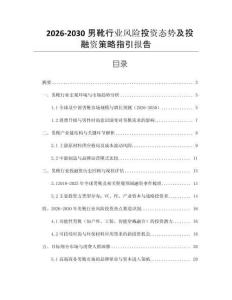 2026-2030男靴行業(yè)風(fēng)險(xiǎn)投資態(tài)勢(shì)及投融資策略指引報(bào)告