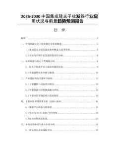 2026-2030中國集成硅光子收發器行業應用狀況與前景趨勢預測報告