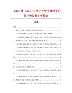 2025及未來5-10年小打鈴項目投資價值市場數據分析報告