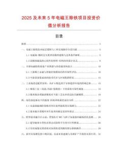 2025及未來5年電磁王除鐵項目投資價值分析報告