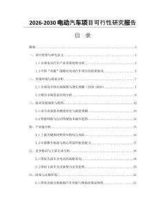 2026-2030電動(dòng)汽車項(xiàng)目可行性研究報(bào)告