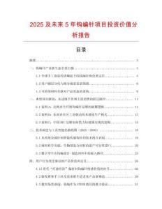 2025及未來5年鉤編針項目投資價值分析報告