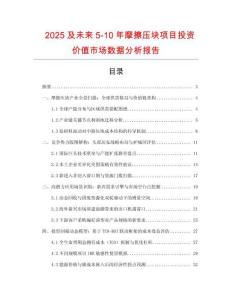 2025及未來(lái)5-10年摩擦壓塊項(xiàng)目投資價(jià)值市場(chǎng)數(shù)據(jù)分析報(bào)告
