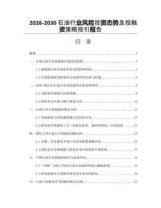 2026-2030石油行業(yè)風(fēng)險投資態(tài)勢及投融資策略指引報告