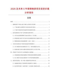 2025及未來5年紫銅卷排項目投資價值分析報告