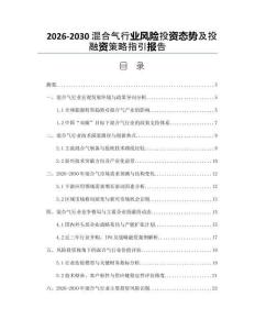 2026-2030混合氣行業(yè)風(fēng)險投資態(tài)勢及投融資策略指引報告