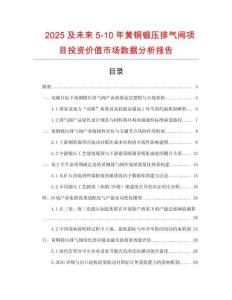 2025及未來5-10年黃銅鍛壓排氣閥項目投資價值市場數據分析報告