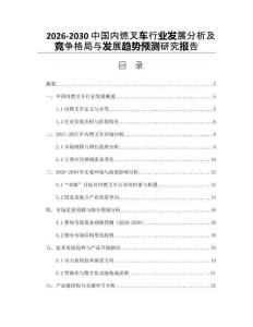 2026-2030中國內(nèi)燃叉車行業(yè)發(fā)展分析及競爭格局與發(fā)展趨勢(shì)預(yù)測(cè)研究報(bào)告